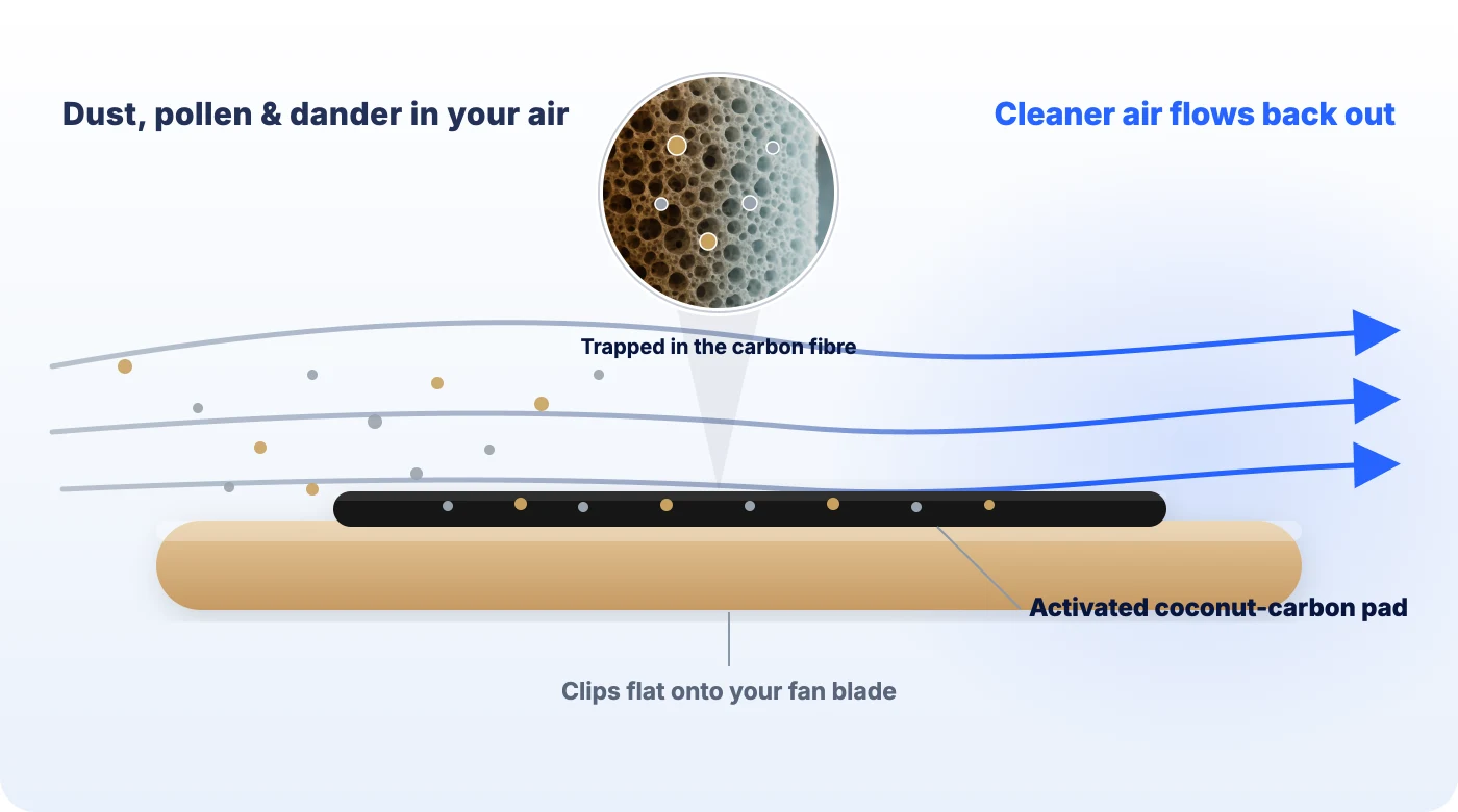 Cross-section of an AirCatch carbon pad on a ceiling-fan blade: dust, pollen and dander in the air are trapped in the carbon fibre as air passes over, and cleaner air flows back out.
