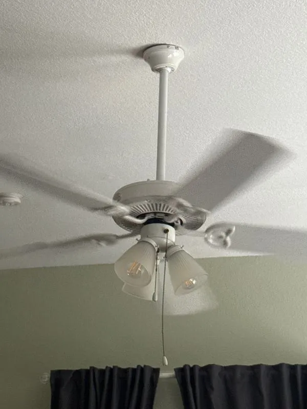 Filters installed on a ceiling fan